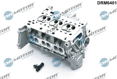 Cylinder Head Dr.Motor Automotive DRM6401