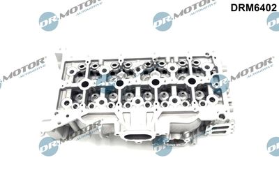 Cylinder Head Dr.Motor Automotive DRM6402