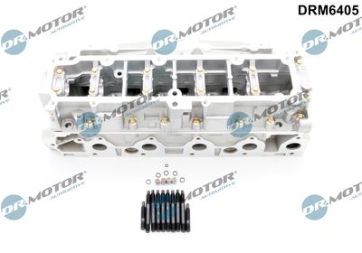 Cylinder Head Dr.Motor Automotive DRM6405