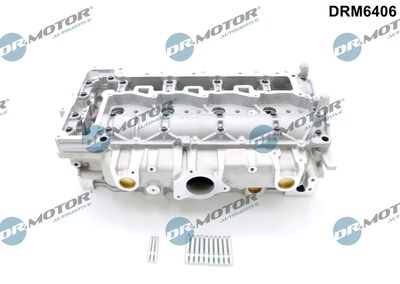 Cylinder Head Dr.Motor Automotive DRM6406