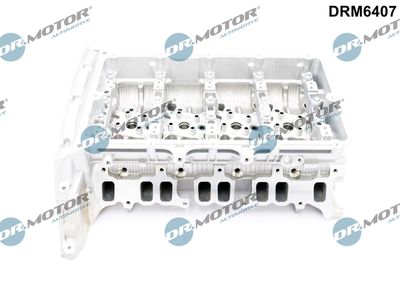 Cylinder Head Dr.Motor Automotive DRM6407