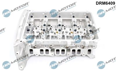 Cylinder Head Dr.Motor Automotive DRM6409