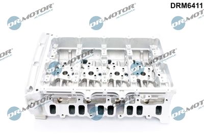 Cylinder Head Dr.Motor Automotive DRM6411