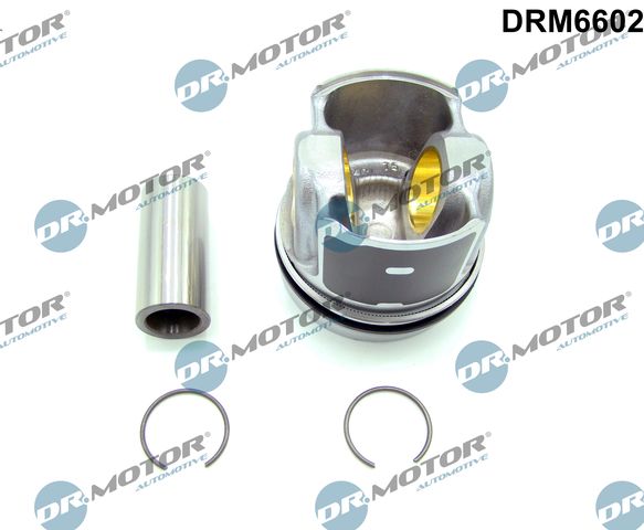 Dr.Motor Automotive DRM6602 Partial Engine