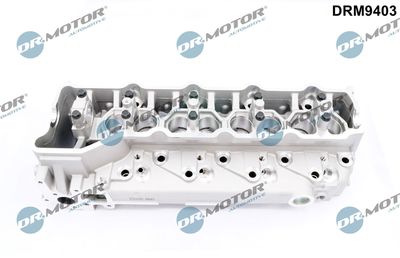 Cylinder Head Dr.Motor Automotive DRM9403