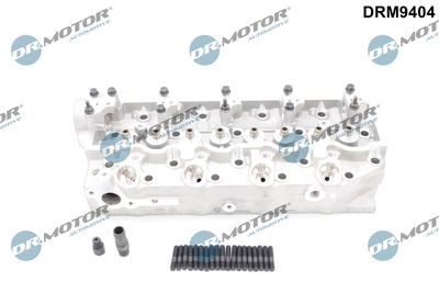 Cylinder Head Dr.Motor Automotive DRM9404
