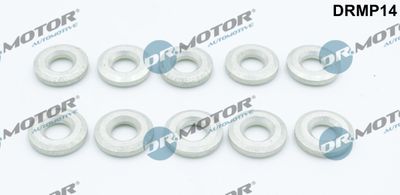 Heat Shield, injection system Dr.Motor Automotive DRMP14