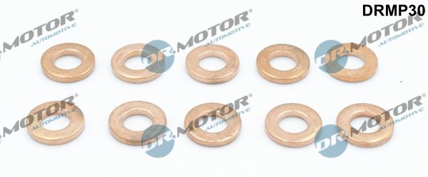 Dr.Motor Automotive DRMP30 Heat Shield, injection system