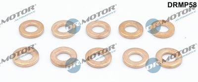 Heat Shield, injection system Dr.Motor Automotive DRMP58