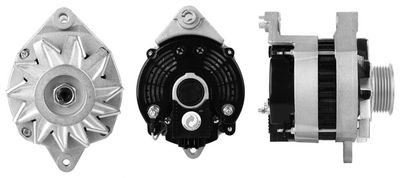 Alternator DRI 230125602