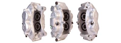 Brake Caliper DRI 3132010