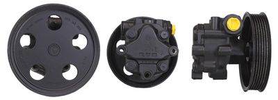 Hydraulic Pump, steering DRI 715520207