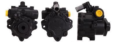 Hydraulic Pump, steering DRI 715520376
