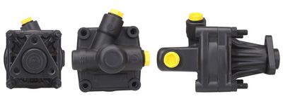 Hydraulic Pump, steering DRI 715520690