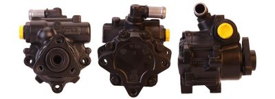 Hydraulic Pump, steering DRI 715520702