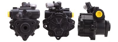 Hydraulic Pump, steering DRI 715521043