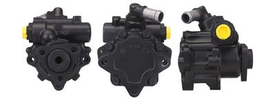 Hydraulic Pump, steering DRI 715521389