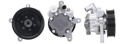 Hydraulic Pump, steering DRI 715521502