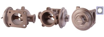 EGR Valve DRI 717710055