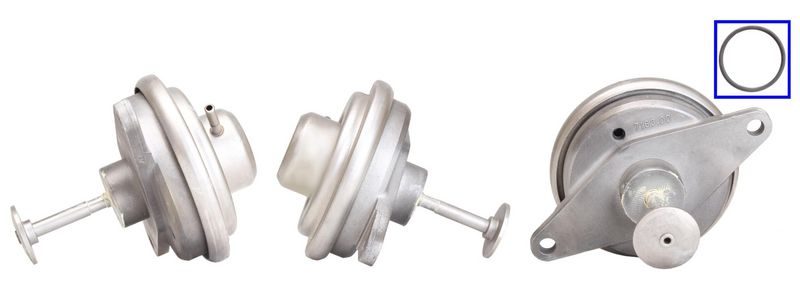DRI 717710195 EGR Valve