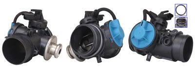 EGR Valve DRI 717710198