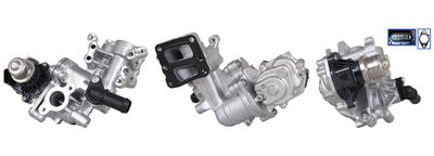 EGR Valve DRI 717730396