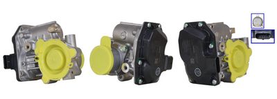 EGR Valve DRI 717730423