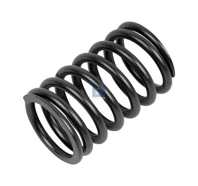 Valve Spring DT Spare Parts 1.10004
