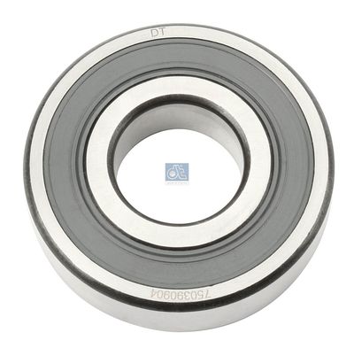 Crankshaft Bearing DT Spare Parts 2.10086