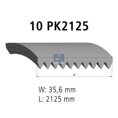 V-Ribbed Belt DT Spare Parts 2.15557