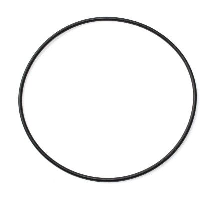 ELRING 002.970 Seal Ring