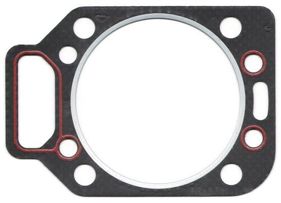 ELRING 306.519 Gasket, cylinder head