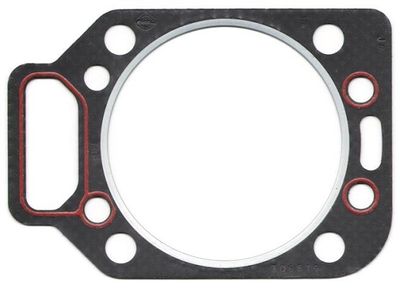 Gasket, cylinder head ELRING 306.519