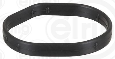 Gasket, timing case ELRING 698.170