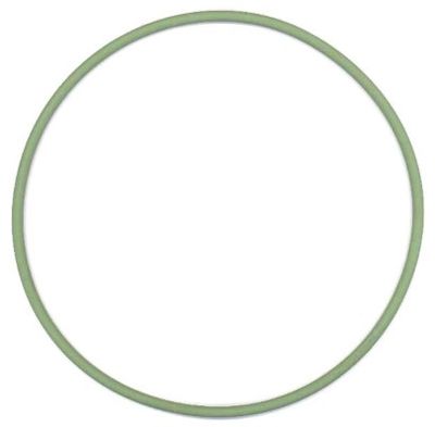 Seal Ring ELRING 825.751