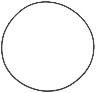 Seal Ring ELRING 825.786