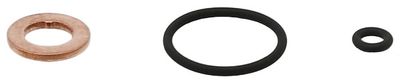 Seal Kit, injector nozzle ELRING 883.700