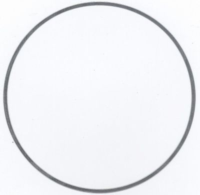 O-Ring, cylinder sleeve ELRING 896.455