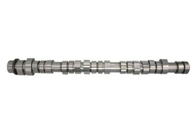 Camshaft ENGITECH ENT080000