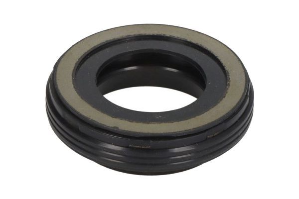ENGITECH ENT250549 Seal Ring, injector