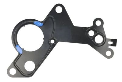Gasket, vacuum pump ENGITECH ENT410101