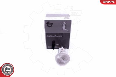 Fuel Feed Unit ESEN SKV 02SKV808
