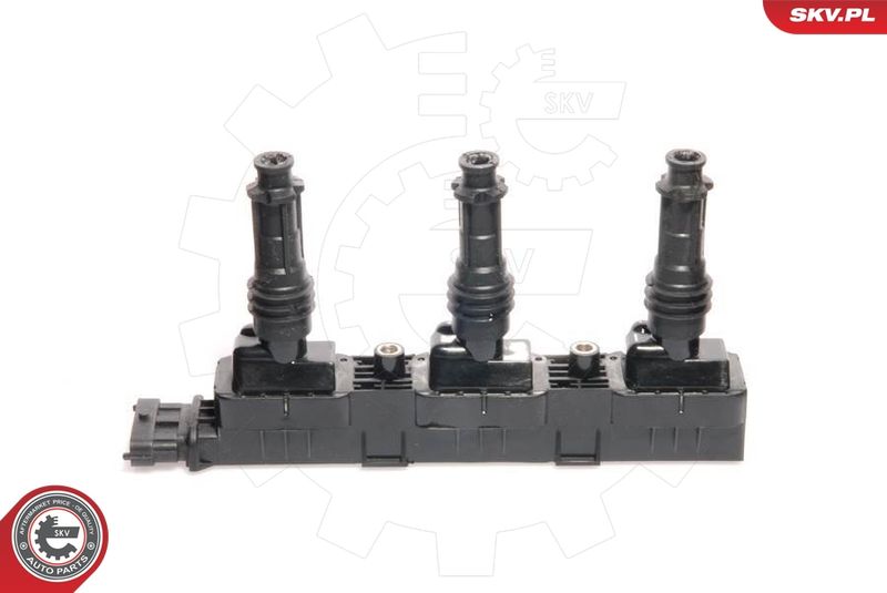 ESEN SKV 03SKV022 Ignition Coil