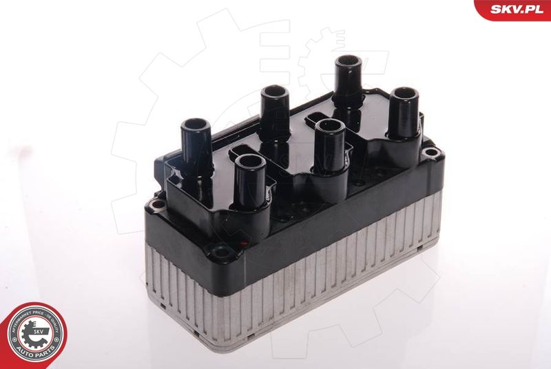 ESEN SKV 03SKV049 Ignition Coil