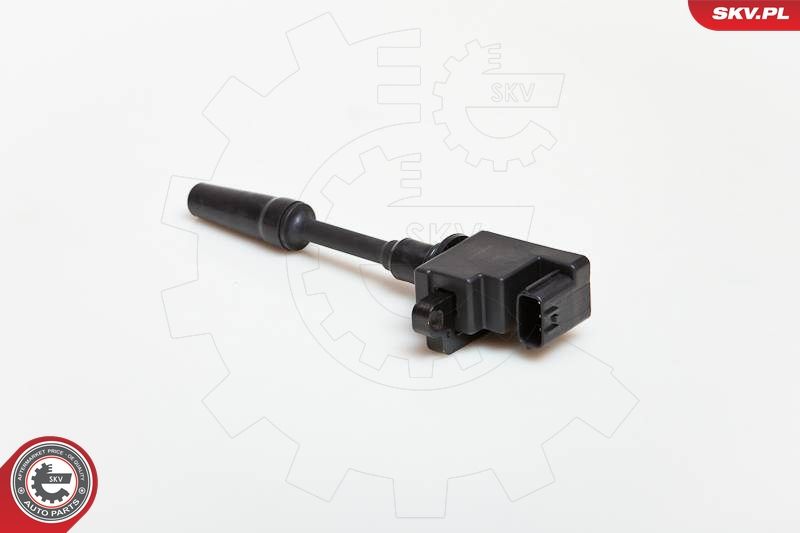 ESEN SKV 03SKV076 Ignition Coil
