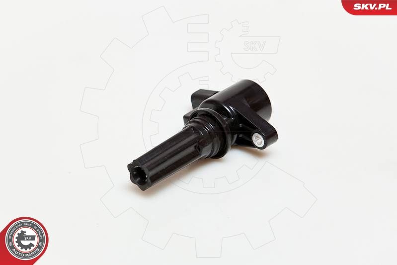 ESEN SKV 03SKV181 Ignition Coil