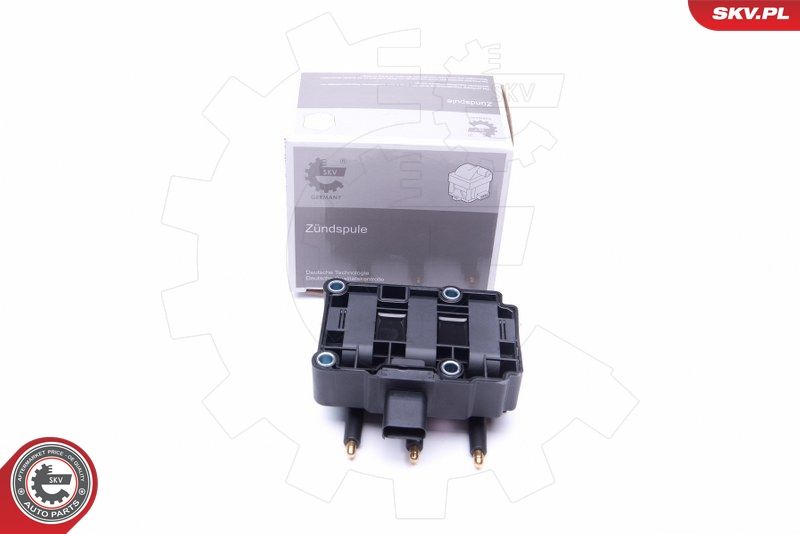 ESEN SKV 03SKV248 Ignition Coil