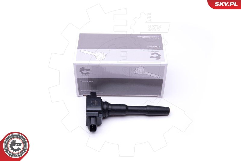 ESEN SKV 03SKV280 Ignition Coil