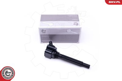 Ignition Coil ESEN SKV 03SKV281