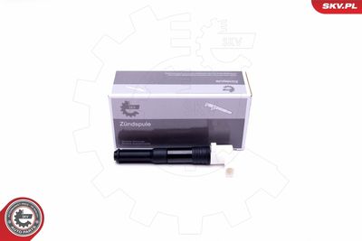 Ignition Coil ESEN SKV 03SKV286